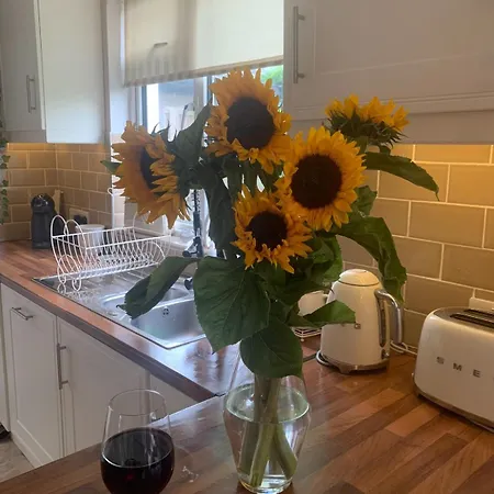 Cozy 3 Bed House In Dublin *